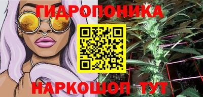 apvp Берёзовский