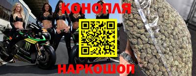 гидра Бийск