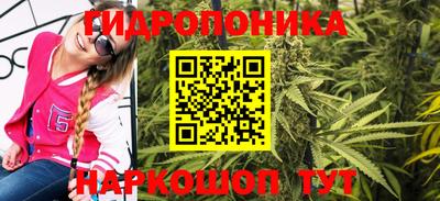 гидра Бийск