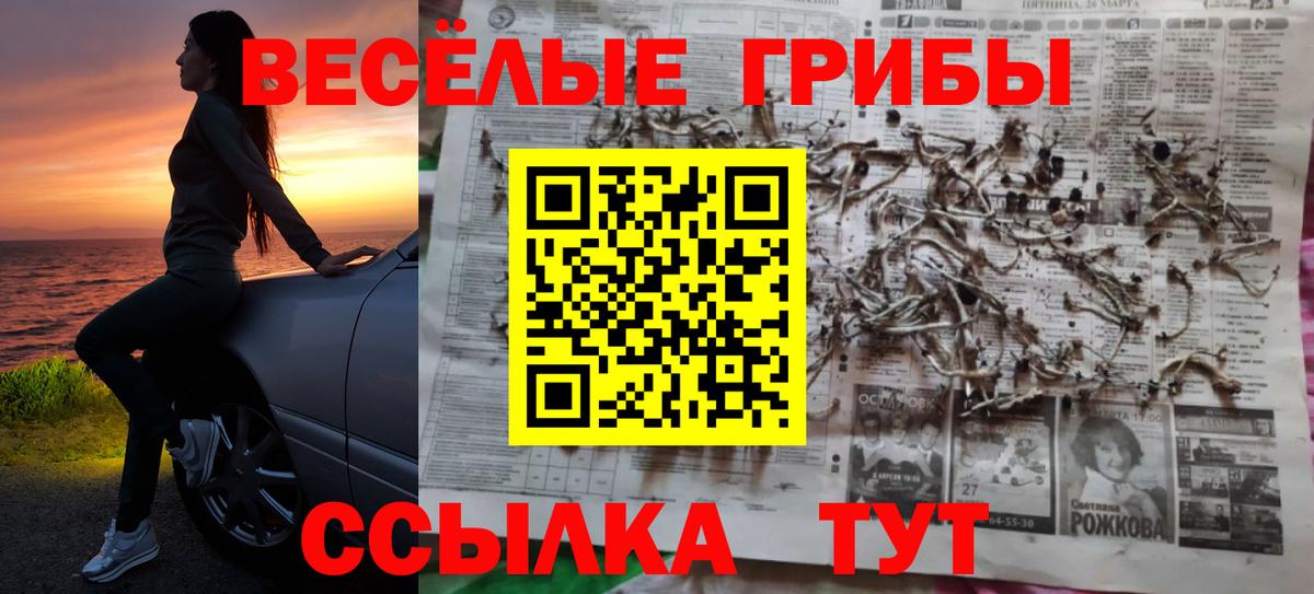 даркнет сайт  Галлюциногенные грибы мицелий  Вход с VPN  Каспийск  Псилоцибиновые грибы мухоморы 