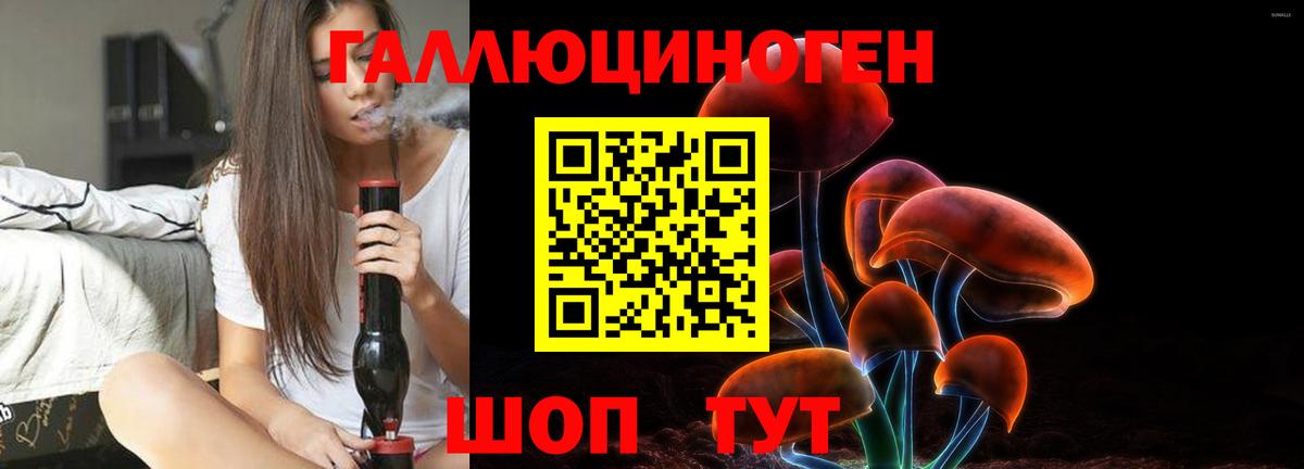 Псилоцибиновые грибы прущие грибы Каспийск